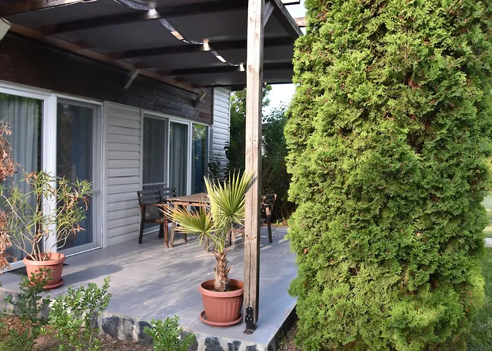 Krapets Krapets (Dobrich)