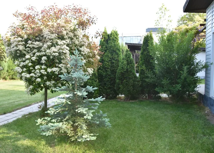 Villa Krapets Krapets (Dobrich)