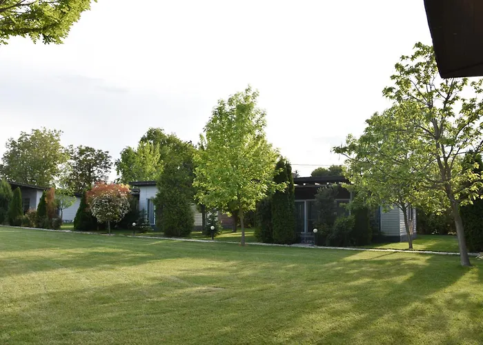 Krapets Krapets (Dobrich)