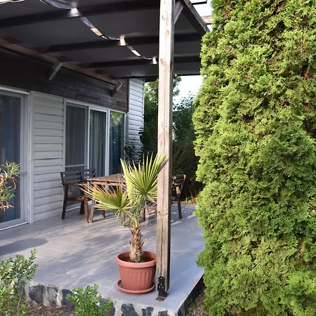 Krapets Krapets (Dobrich)