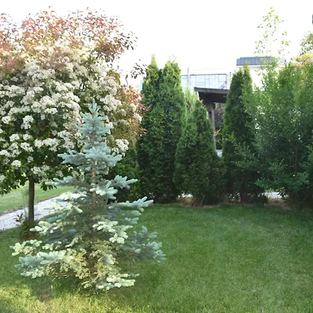 Villa Krapets Krapets (Dobrich)