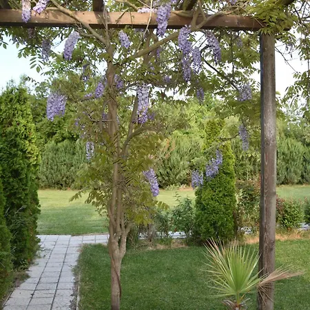 Krapets Villa *